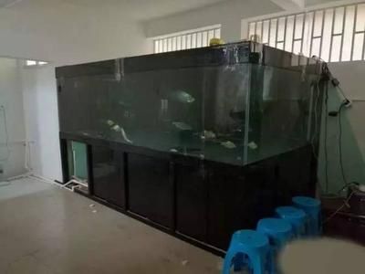 定做大型魚(yú)缸多少錢一個(gè)平方：定做大型魚(yú)缸的價(jià)格因素而異 魚(yú)缸百科 第4張