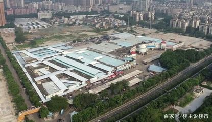 芳村花鳥市場坐什么車：廣州芳村花鳥市場一日游廣州芳村花鳥市場360問答 廣州水族批發(fā)市場 第1張