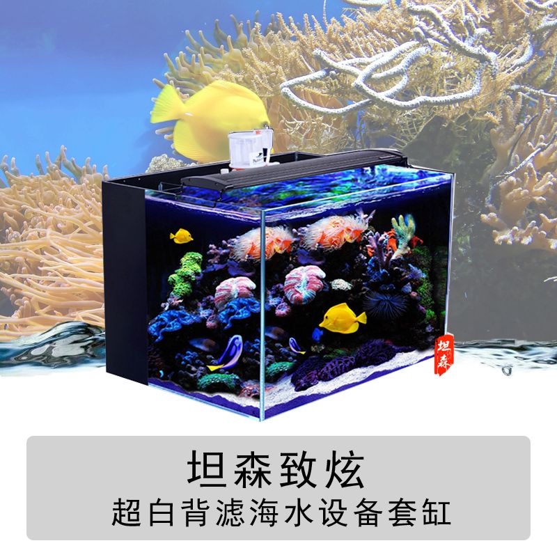 廣州魚缸哪里買最便宜的好用：廣州水族用品牌的優(yōu)勢(shì) 廣州水族批發(fā)市場(chǎng) 第4張