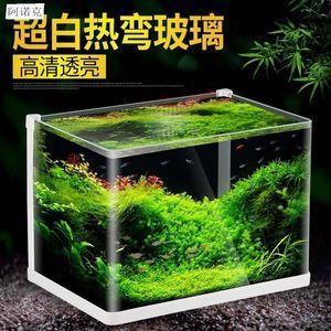 玻璃魚缸青苔怎么處理：如何處理魚缸中的青苔 魚缸百科 第1張