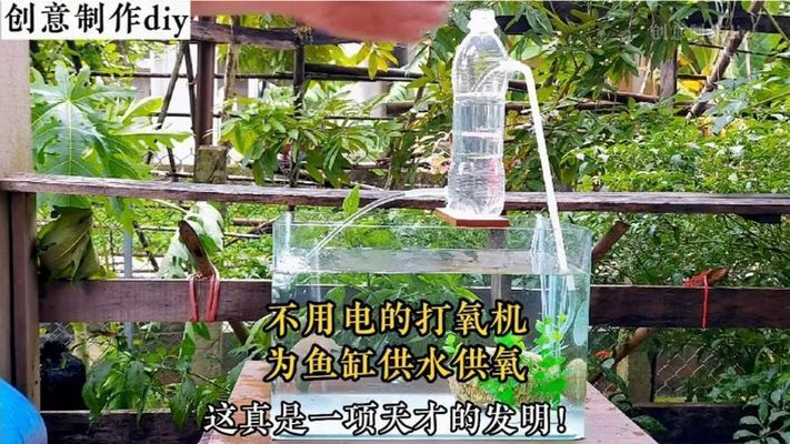 除了打氧機(jī)之外,還可以怎樣給魚(yú)缸打氧：噴水式增氧機(jī)噴水式增氧機(jī)噴水式增氧機(jī)噴水式增氧方法 魚(yú)缸百科 第1張