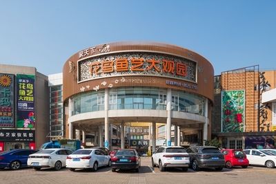 芳村花鳥市場在哪個地鐵站出口下車 廣州水族批發(fā)市場 第3張