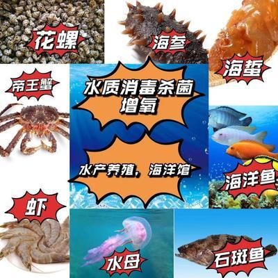 臭氧對魚缸作用是什么：臭氧發(fā)生器在水產養(yǎng)殖中的應用 魚缸百科 第1張