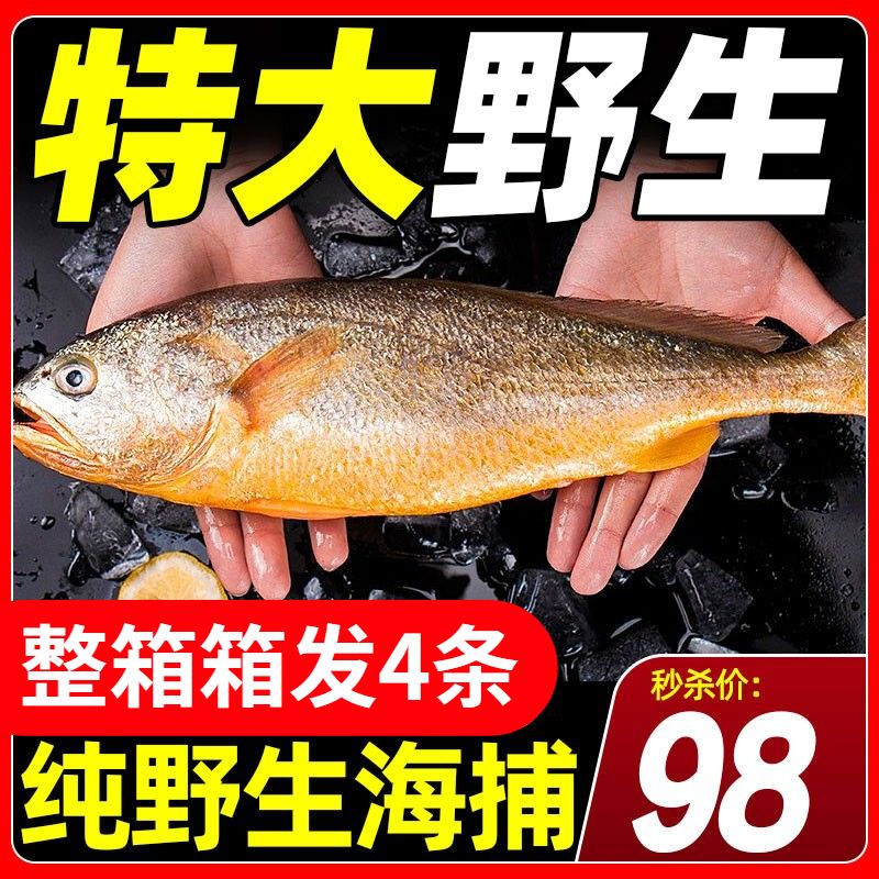 野生大金龍魚：野生大金龍魚是一種珍貴且瀕危的生物 龍魚百科 第2張