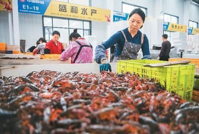 廣州最大的魚缸市場(chǎng)在哪里有買海鮮：廣州海河國(guó)際水產(chǎn)交易市場(chǎng)如何實(shí)施食品安全管理措施 廣州水族批發(fā)市場(chǎng) 第1張