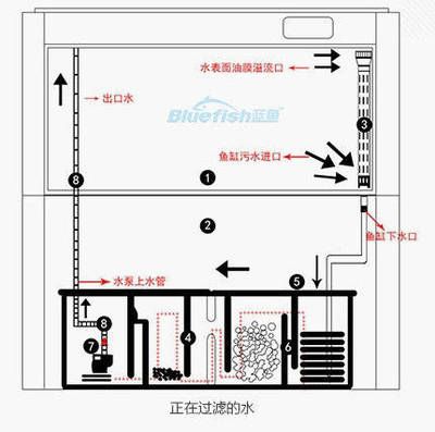 大型魚缸如何安裝水泵：大型魚缸水泵安裝步驟 魚缸百科 第1張