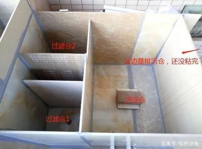 瓷磚可以用來做魚缸么視頻：瓷磚可以用來制作魚缸嗎？