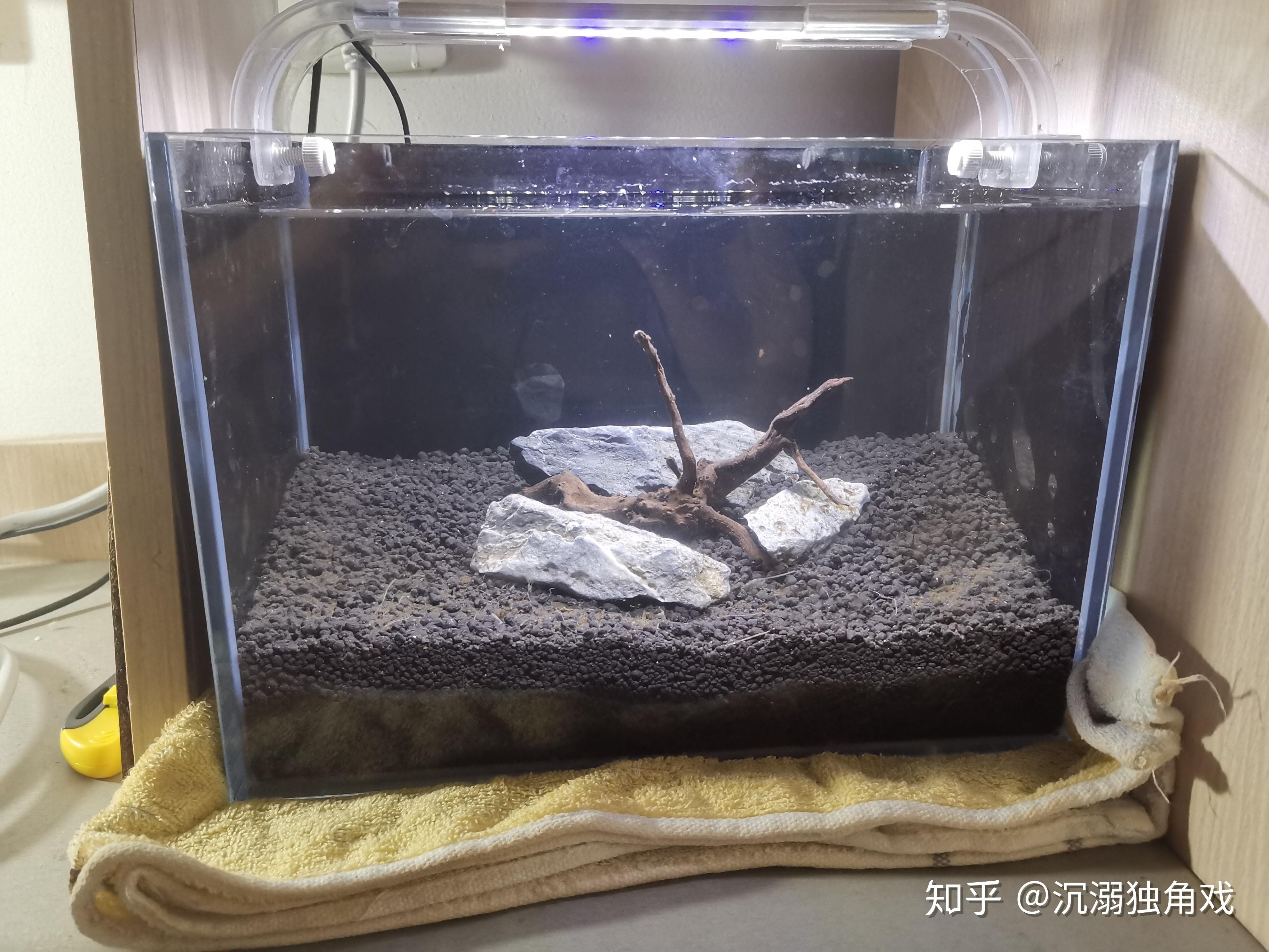 不用打理的魚缸怎么處理魚：不用打理的魚缸處理方法有以下幾種，家里不用的魚缸該如何處理 魚缸百科 第1張