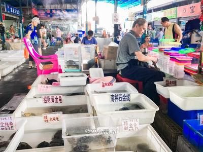 廣州芳村花鳥市場開始營業(yè)了嗎現在：廣州芳村花鳥魚蟲市場 廣州水族批發(fā)市場 第3張