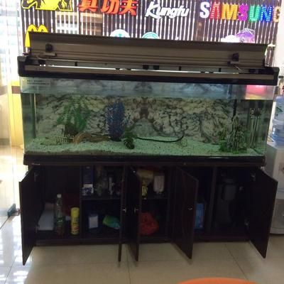 廣州買魚缸去哪里買好點：廣州哪里可以買魚缸？ 廣州水族批發(fā)市場 第3張