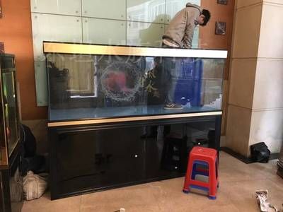 廣州買魚缸去哪里買好點：廣州哪里可以買魚缸？ 廣州水族批發(fā)市場 第1張