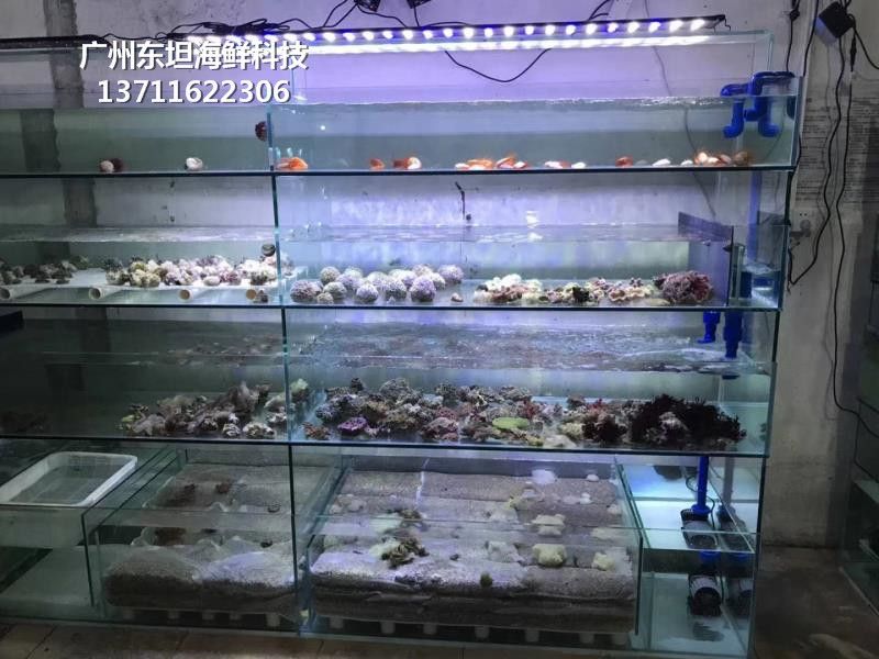 廣州賣魚缸的地方有哪些店鋪：在廣州可以購買或定制魚缸的地點(diǎn)和店鋪 廣州水族批發(fā)市場 第3張