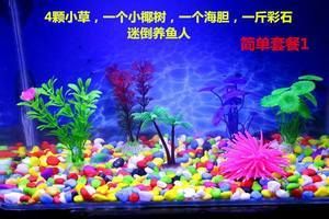 彩石放魚缸里好不好：魚缸放石頭的注意事項 魚缸百科 第1張