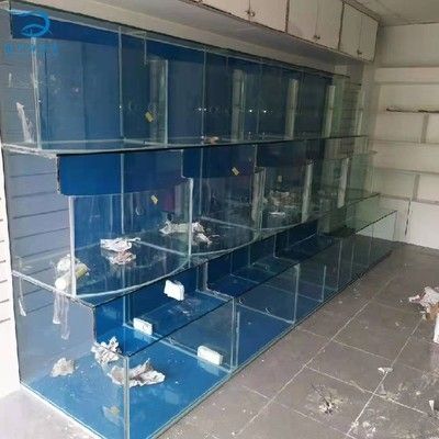 廣州魚缸哪里買最便宜又好用的：廣州花鳥市場探秘廣州花鳥魚蟲市場探秘花鳥魚蟲市場 廣州水族批發(fā)市場 第3張