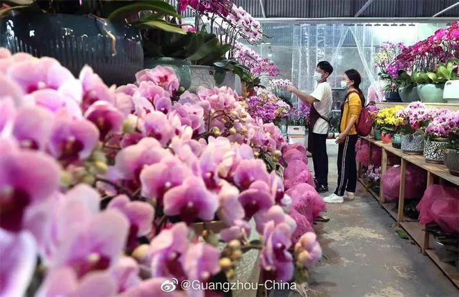 廣州芳村嶺南花卉市場(chǎng)離哪個(gè)火車站近