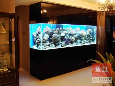 大型魚缸怎么做到對流：大型魚缸對流的原理和方法 魚缸百科 第4張