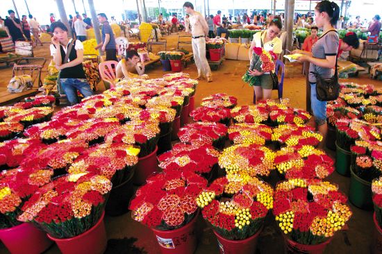 芳村花地大道的花鳥市場