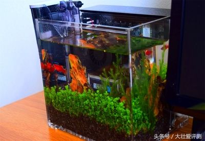 玻璃魚缸過濾器哪種好用點(diǎn)：玻璃魚缸過濾器品牌介紹仟湖、尼特利、京業(yè)jingye 魚缸百科 第2張