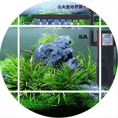 玻璃魚缸過濾器哪種好用點(diǎn)：玻璃魚缸過濾器品牌介紹仟湖、尼特利、京業(yè)jingye 魚缸百科 第1張