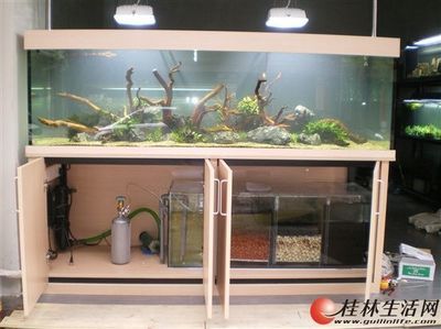 大型海水魚(yú)缸換水方法：大型海水魚(yú)缸換水方法和注意事項(xiàng)