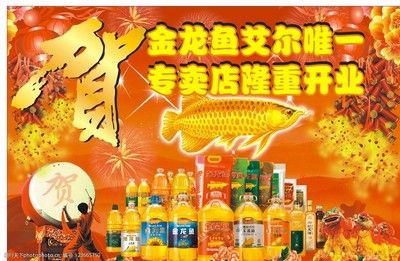 搜索金龍魚的全屏照片：免費下載金龍魚全屏照片 龍魚百科 第2張