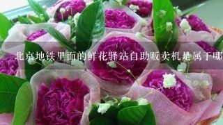 廣州芳村鮮花批發(fā)市場一手批發(fā)商：廣州情意鮮花批發(fā)市場 廣州水族批發(fā)市場 第3張