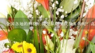 廣州芳村鮮花批發(fā)市場一手批發(fā)商：廣州情意鮮花批發(fā)市場 廣州水族批發(fā)市場 第4張