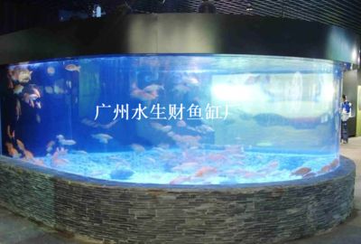 廣州賣魚缸的地方叫什么名字：廣東魚缸品牌探秘廣東魚缸品牌探秘廣東魚缸品牌探秘 廣州水族批發(fā)市場(chǎng) 第1張