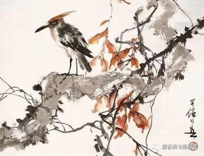 芳村花鳥魚蟲新世界有鳥嗎：廣州芳村花鳥魚蟲新世界