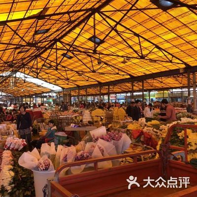 廣州芳村花卉市場幾點開門：廣州芳村花卉市場全天候開放 廣州水族批發(fā)市場 第4張