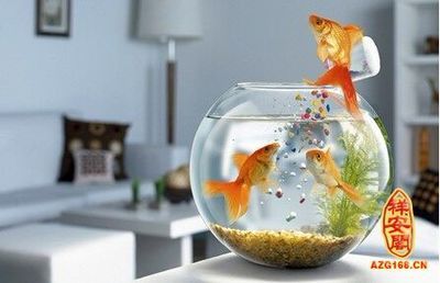 財(cái)位上能不能放魚缸：魚缸擺放的風(fēng)水有什么講究？ 魚缸百科 第2張