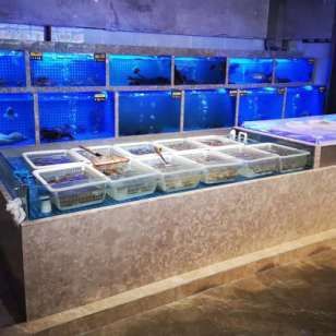 廣州魚缸哪里買最便宜又好看的水：廣州水族用品批發(fā)市場 廣州水族批發(fā)市場 第3張