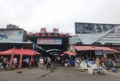 廣州芳村花鳥魚市場(chǎng)搬到哪：廣州芳村花鳥魚市場(chǎng)搬遷后的新址 廣州水族批發(fā)市場(chǎng) 第3張