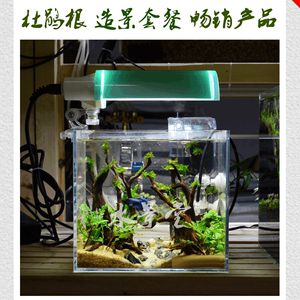 大魚缸適合放水草嗎視頻：魚缸養(yǎng)水草有哪些優(yōu)點(diǎn) 魚缸百科 第3張