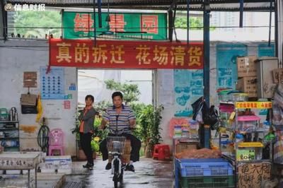 芳村花鳥魚蟲市場春節(jié)營業(yè)時間：廣州芳村花鳥魚蟲市場春節(jié)營業(yè)時間表 廣州水族批發(fā)市場 第1張