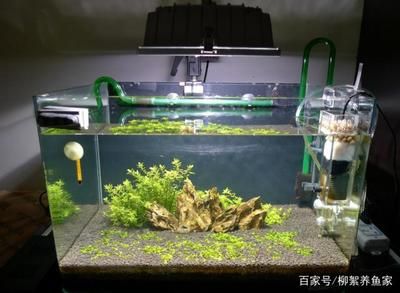 大型魚缸加熱棒：創(chuàng)寧魚缸加熱棒品牌推薦魚缸加熱棒的使用注意事項(xiàng)