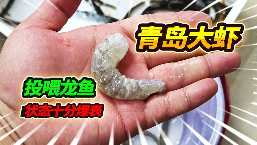 喂龍魚泥鰍處理方法圖解：喂龍魚泥鰍處理方法 龍魚百科 第2張