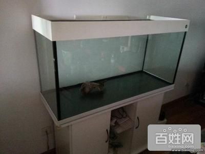 搬家公司魚缸搬碎了怎么處理呢：如何處理搬家中破損的魚缸？ 魚缸百科 第1張