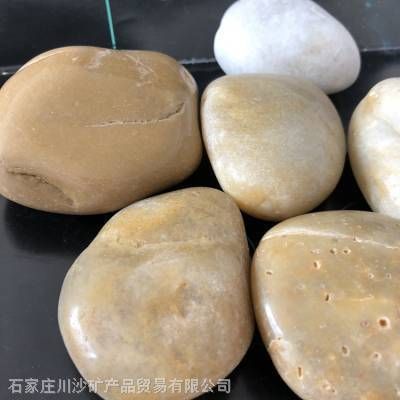 川沙哪里有賣魚缸的地方?。荷虾４ㄉ承聟^(qū)川沙新鎮(zhèn)主營觀賞魚的養(yǎng)殖具體地址未提供 魚缸百科