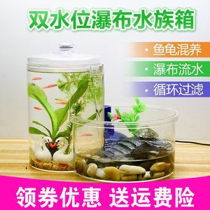 斗魚(yú)魚(yú)缸需要過(guò)濾嗎：斗魚(yú)魚(yú)缸是否需要過(guò)濾 魚(yú)缸百科 第4張