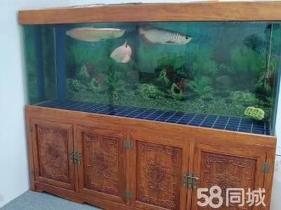 創(chuàng)海魚缸怎么安裝視頻：創(chuàng)海魚缸安裝視頻教程