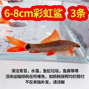 大型魚缸怎么搬：大型魚缸搬運注意事項和注意事項和注意事項和注意事項 魚缸百科 第3張