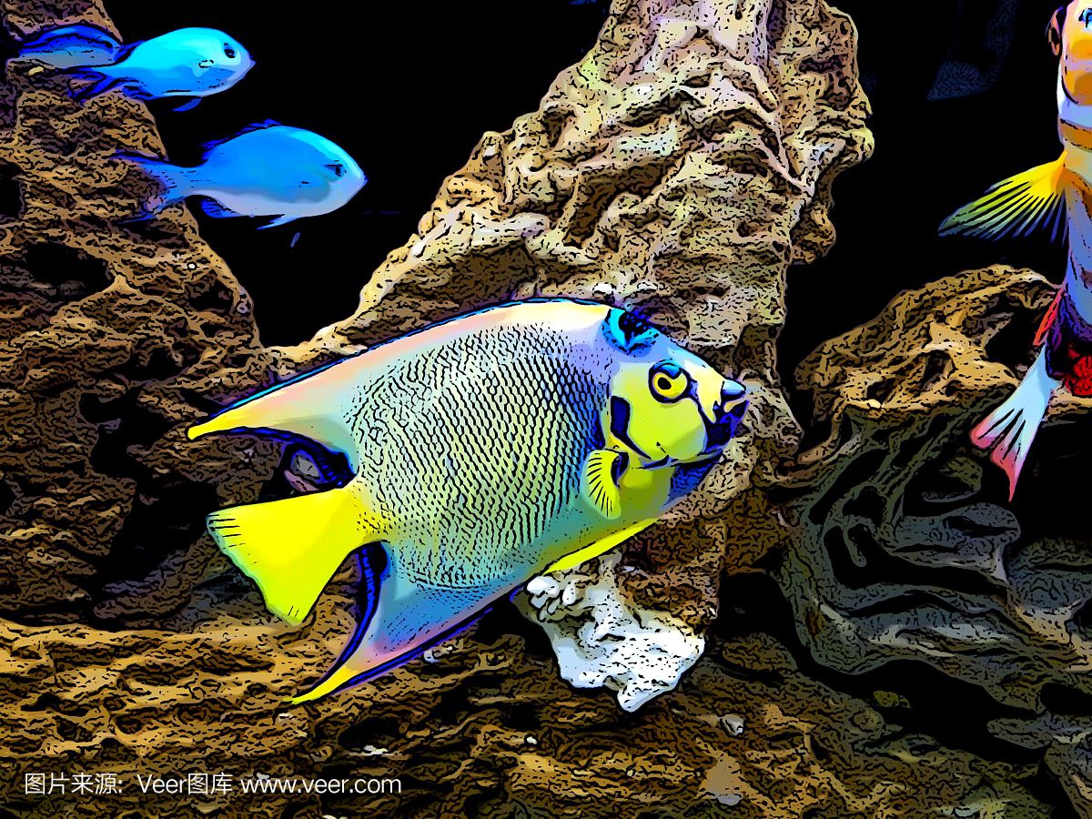 大洋水族魚缸：東莞市大洋水族用品有限公司 魚缸百科 第4張