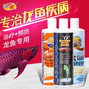 從網(wǎng)上買龍魚可以嗎安全嗎：從網(wǎng)上購買龍魚可以嗎？ 龍魚百科 第1張