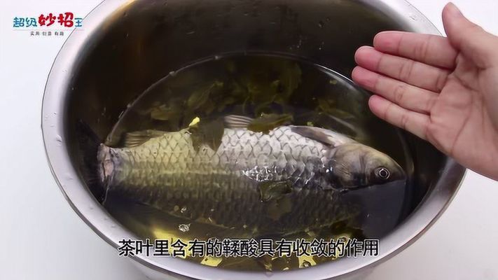 茶水養(yǎng)紅龍魚好不好呀：紅龍魚養(yǎng)紅龍魚的飼養(yǎng)注意事項紅龍魚的飼養(yǎng)方法 龍魚百科 第2張