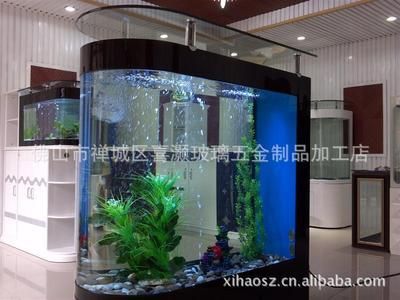 玻璃魚(yú)缸好還是亞克力的玻璃好呢：亞克力魚(yú)缸和亞克力魚(yú)缸材質(zhì)對(duì)觀賞效果更好的選擇 魚(yú)缸百科 第3張