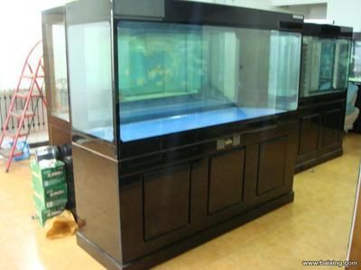 大家都在用什么牌子的魚缸：2024年大家都在使用的魚缸品牌 魚缸百科 第4張