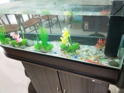 搬新家舊魚缸怎么處理好：如何處理舊魚缸？ 魚缸百科 第1張