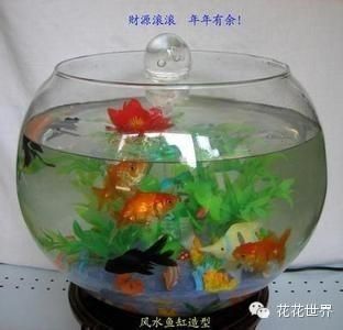 擺個魚缸就叫風水：魚缸擺放與風水