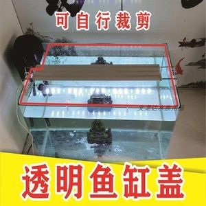 成品魚缸蓋子怎么拆下來(lái)：如何拆卸成品魚缸蓋子 魚缸百科 第3張